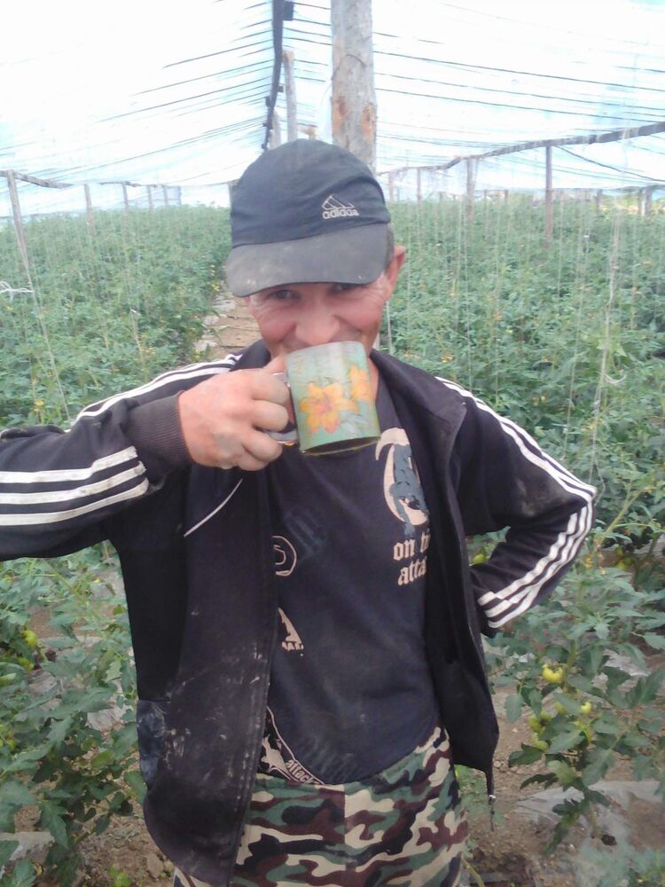 ���� 23753778 ������� ������, 36 ���, ���� ���������� � ����������