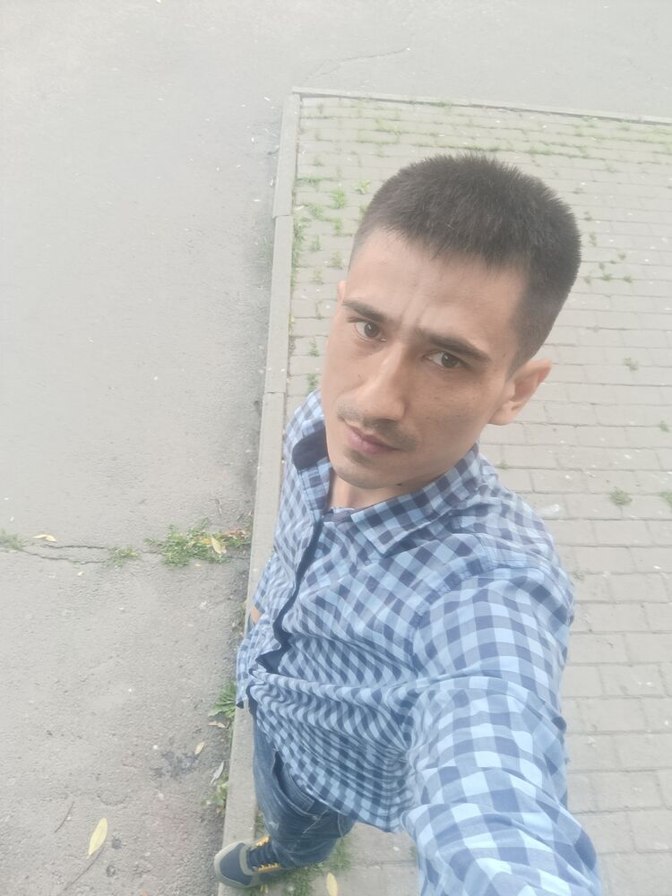  52788378  , 31 ,    