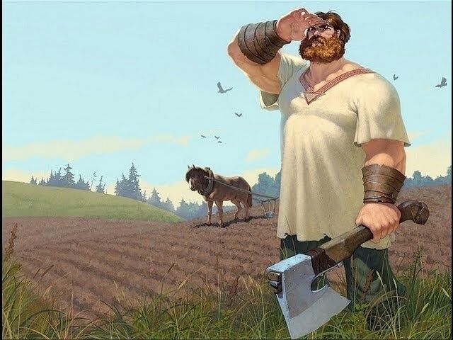 ���� 5356048 ������� ������, 36 ���, ���� ���������� � ����������