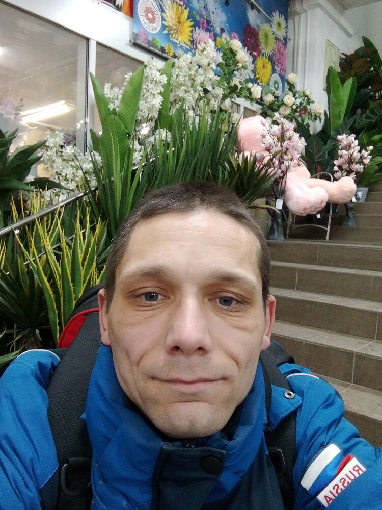  49028138  , 36 ,    