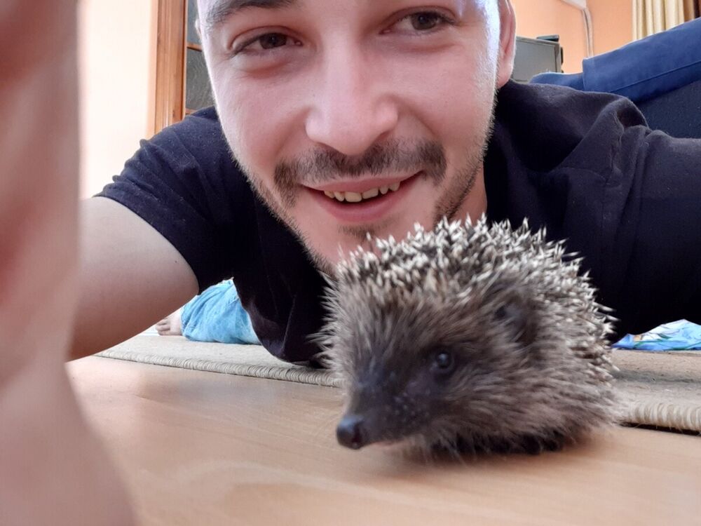 ���� 20735608 ������� Mickey, 35 ���, ���� ���������� � ��������