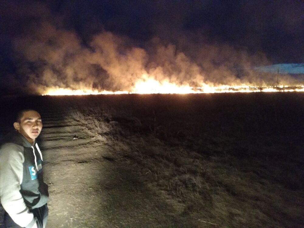 ���� 26397728 ������� �����, 26 ���, ���� ���������� � ����������