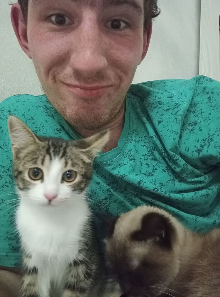  ,   Damir, 23 ,   ,   , c 