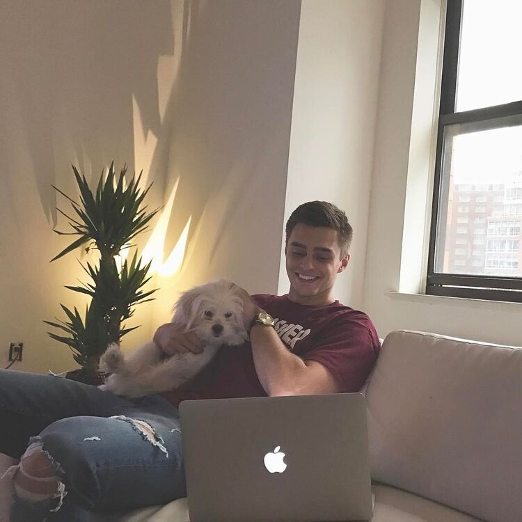 ���������� ����, ���� ������� ����, 31 ���, ������������ ��� ������, ����� � ���������