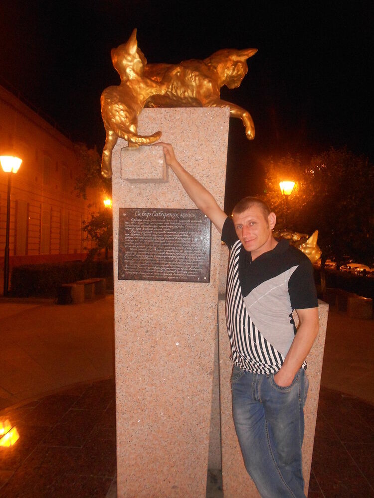 ���� 15376488 ������� �������, 40 ���, ���� ���������� � ������