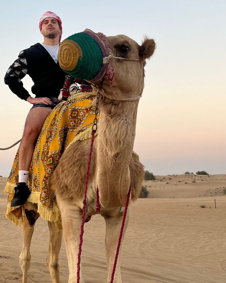 ���� 53294148 ������� ������, 33 ����, ���� ���������� � �������������