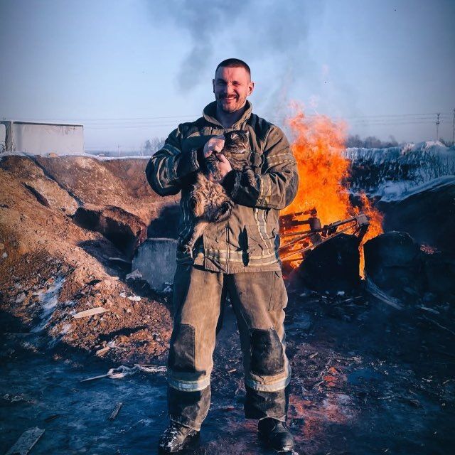 ���� 55786918 ������� �����, 39 ���, ���� ���������� � ����������