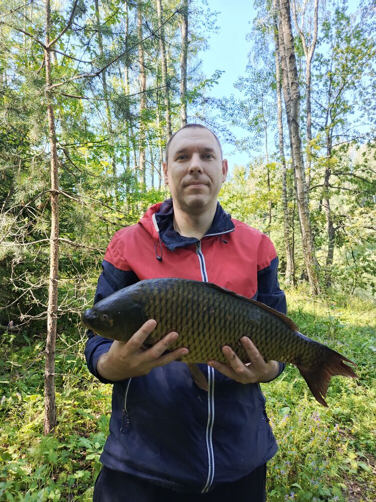 ���������� ����������, ���� ������� �����, 41 ���, ������������ ��� ������, ����� � ���������, c�������� ���������