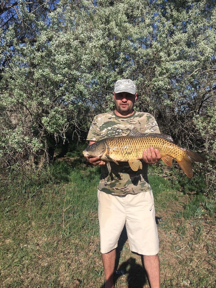 ���������� ����������, ���� ������� ������, 40 ���, ������������ ��� ������, ����� � ���������