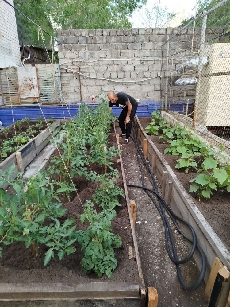 ���� 55172038 ������� ����, 52 ����, ���� ���������� � ����