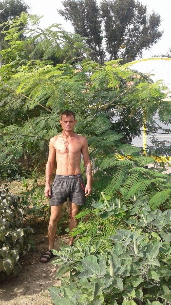  8228898  Vladimer, 41 ,    