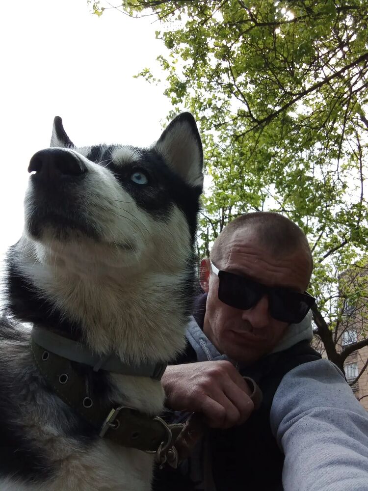 ���� 40562638 ������� ������, 40 ���, ���� ���������� � �����-����������