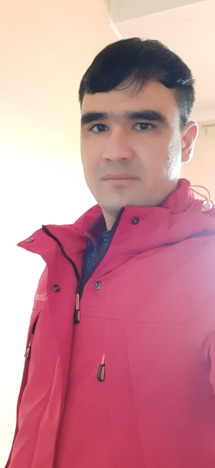  49056258  , 31 ,    
