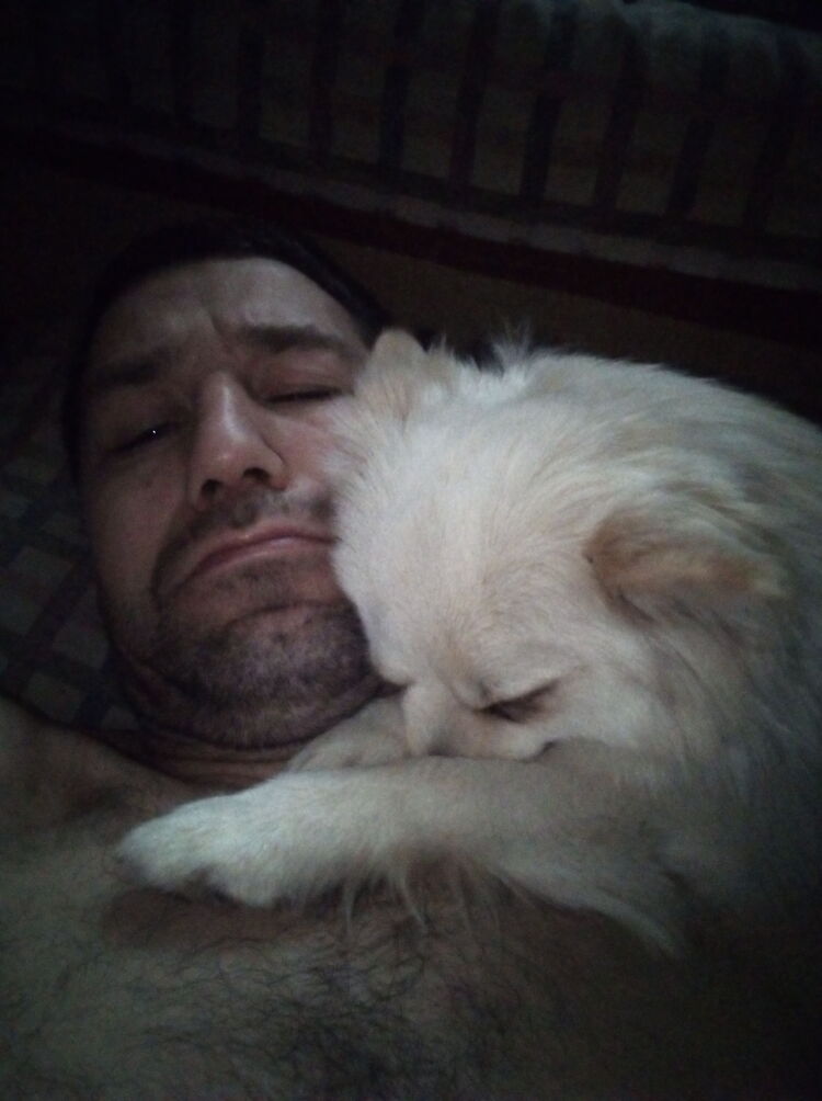 ���������� ������, ���� ������� ������, 43 ����, ������������ ��� ������, ����� � ���������