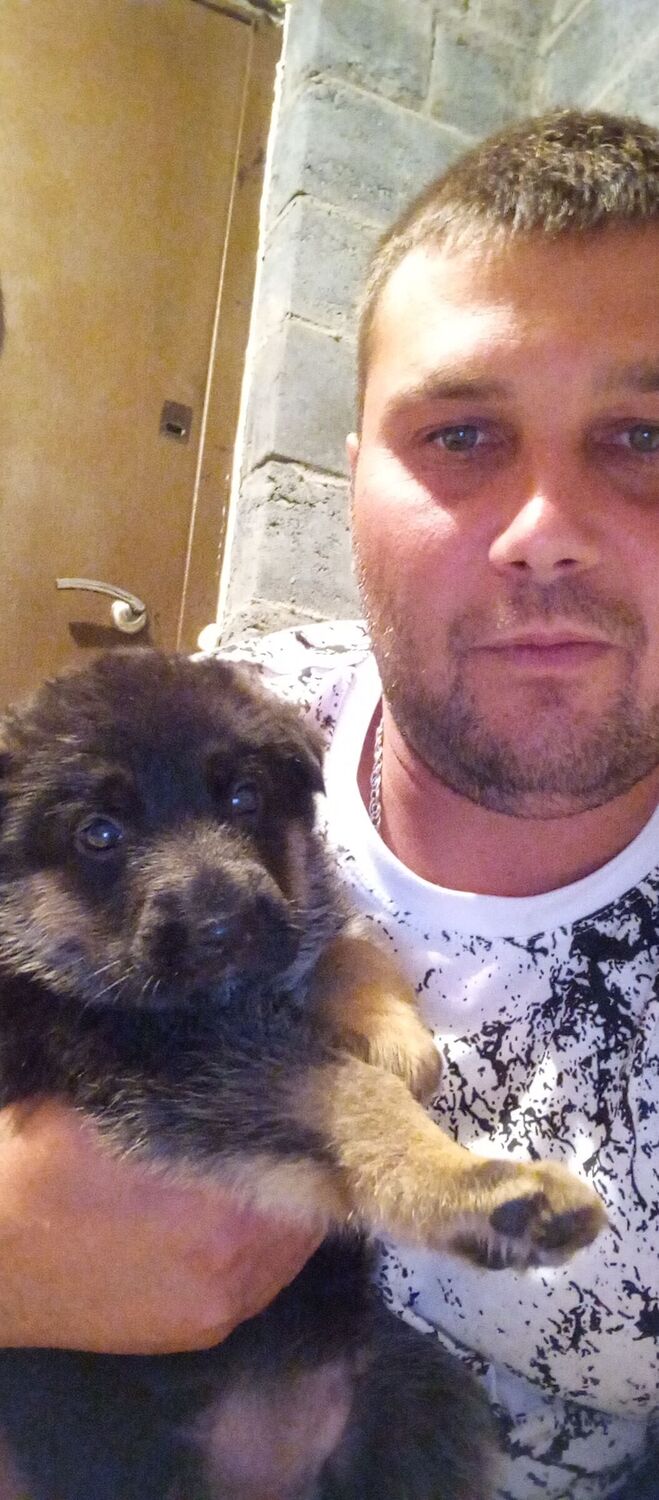  50358998  , 34 ,    -