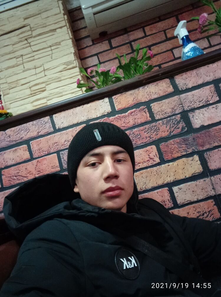  24042478  , 22 ,    -