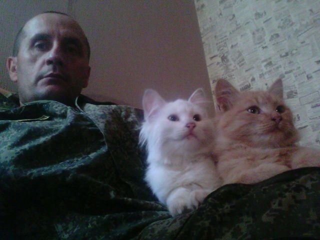 ���� 9850578 ������� �������, 51 ���, ���� ���������� � �����