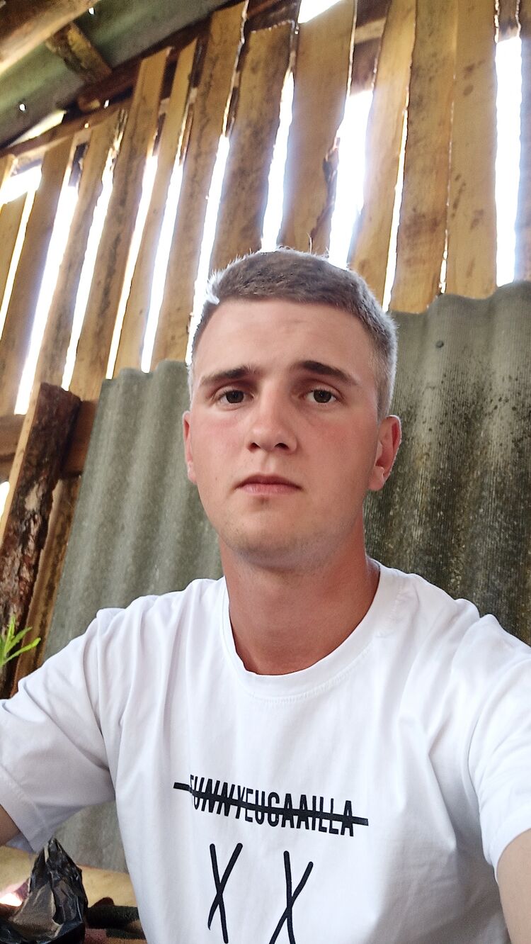  43254178  , 24 ,    