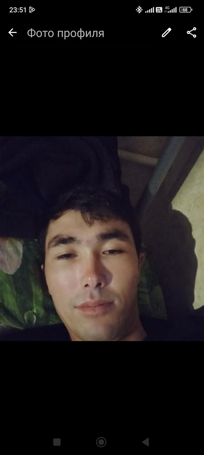  43730928  , 24 ,    