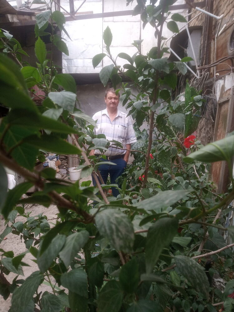 ���� 17289198 ������� ��������, 63 ����, ���� ���������� � ��������