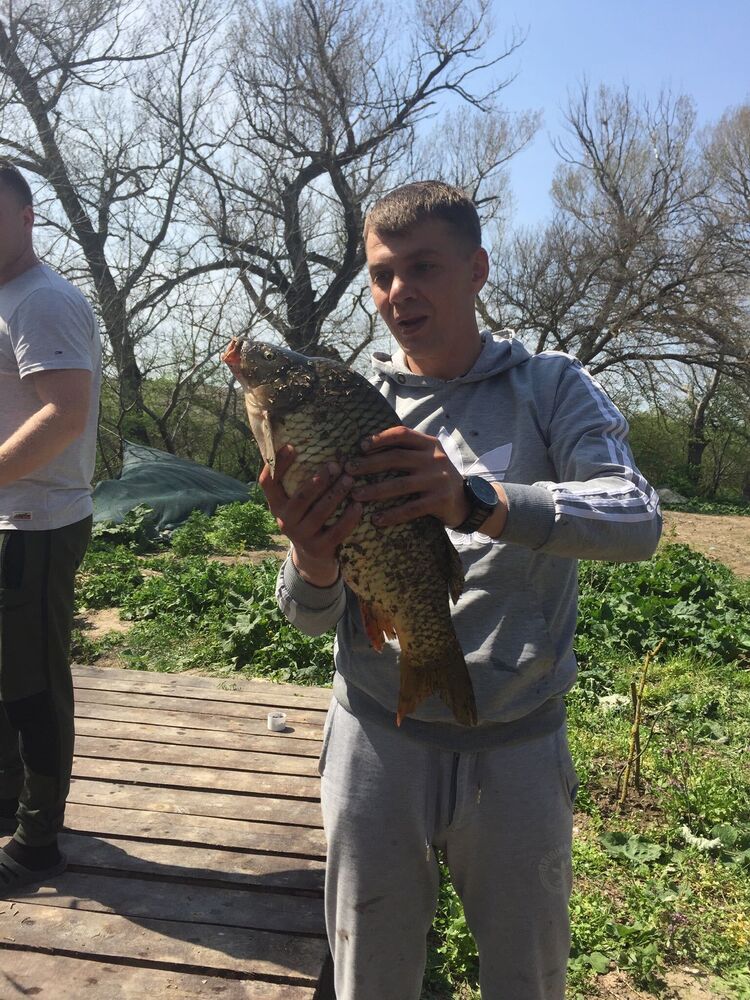 ���������� ���������, ���� ������� ��������, 44 ����, ������������ ��� ������, ����� � ���������, c�������� ���������