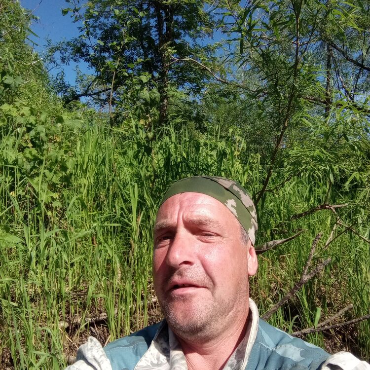  47983288  , 46 ,    