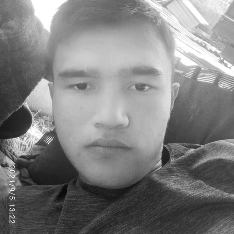 ���������� ������, ���� ����� ����, 24 ����, ������������ ��� ������, ����� � ���������, c�������� ���������