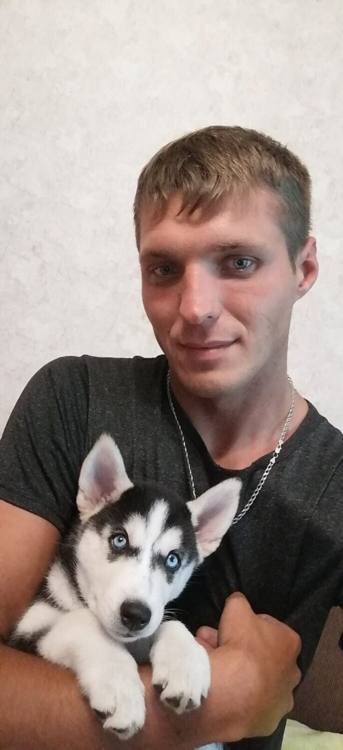 ���������� ���������, ���� ������� �����, 34 ����, ������������ ��� ������, ����� � ���������, c�������� ���������, ���������