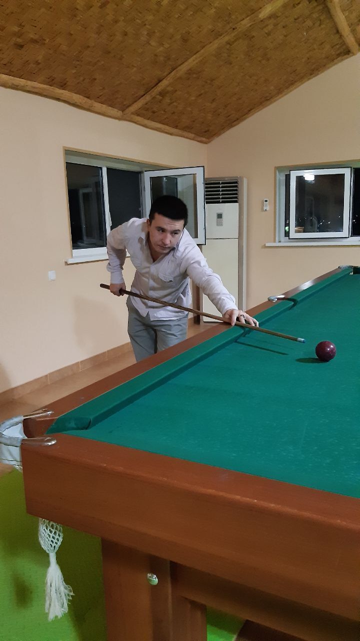  22817908  , 33 ,    