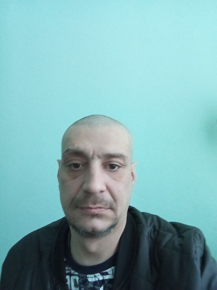  50631068  , 41 ,    