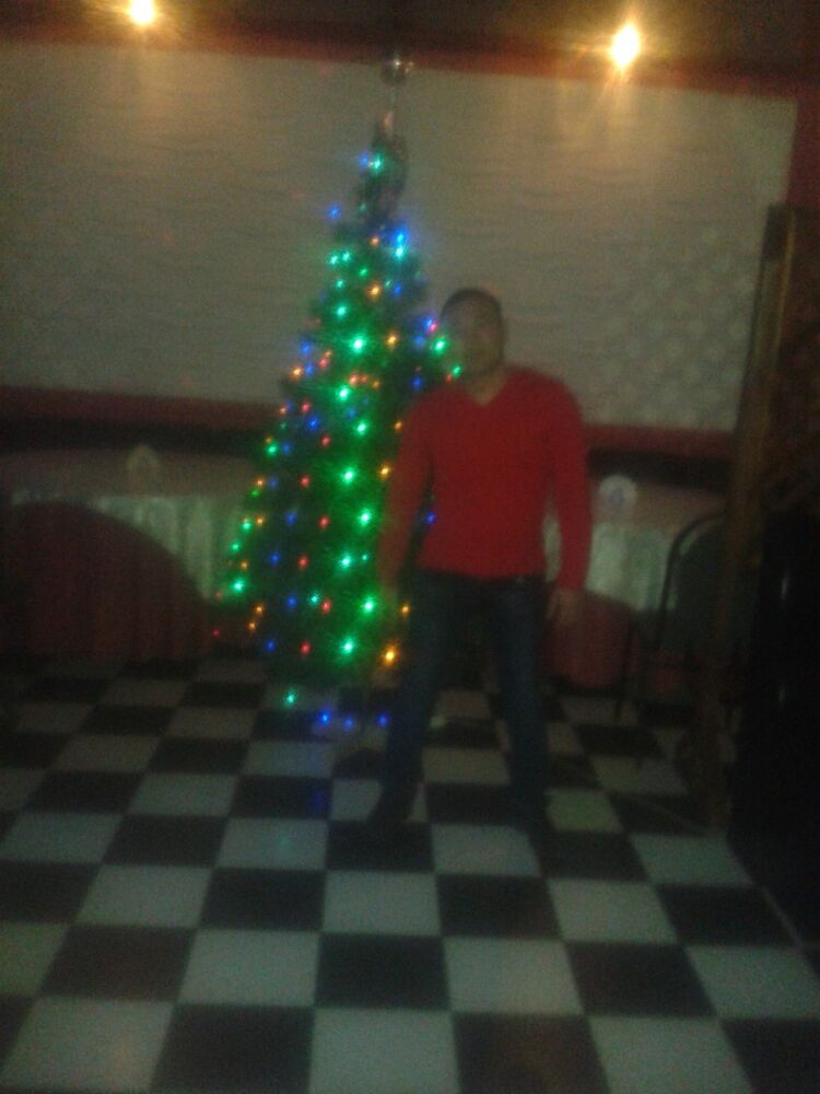  6295538  , 38 ,    