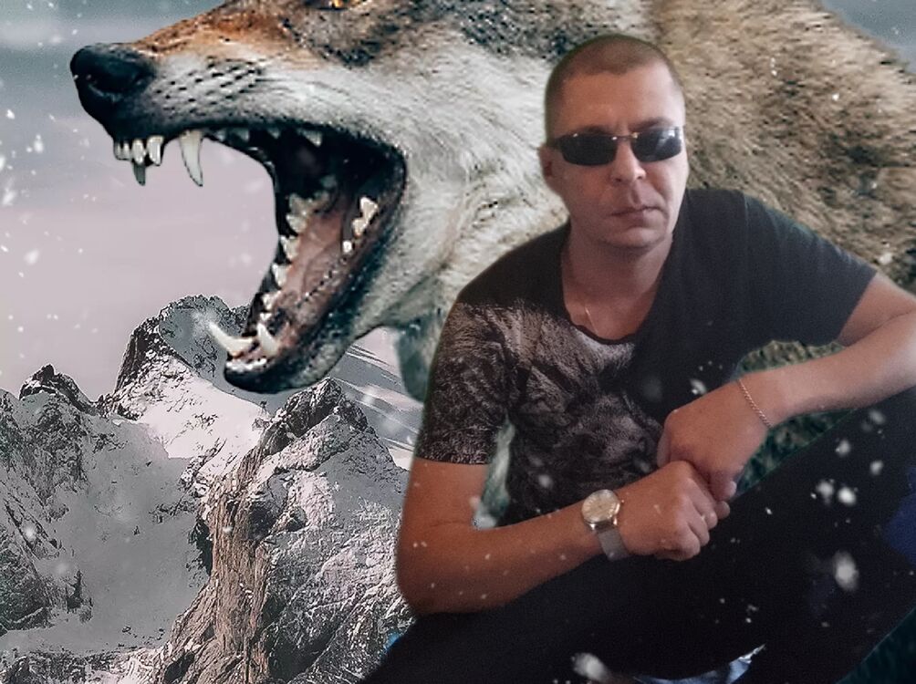  48114728  , 37 ,    -