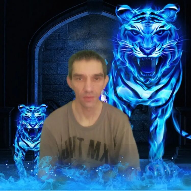  ,   , 41 ,     , c 