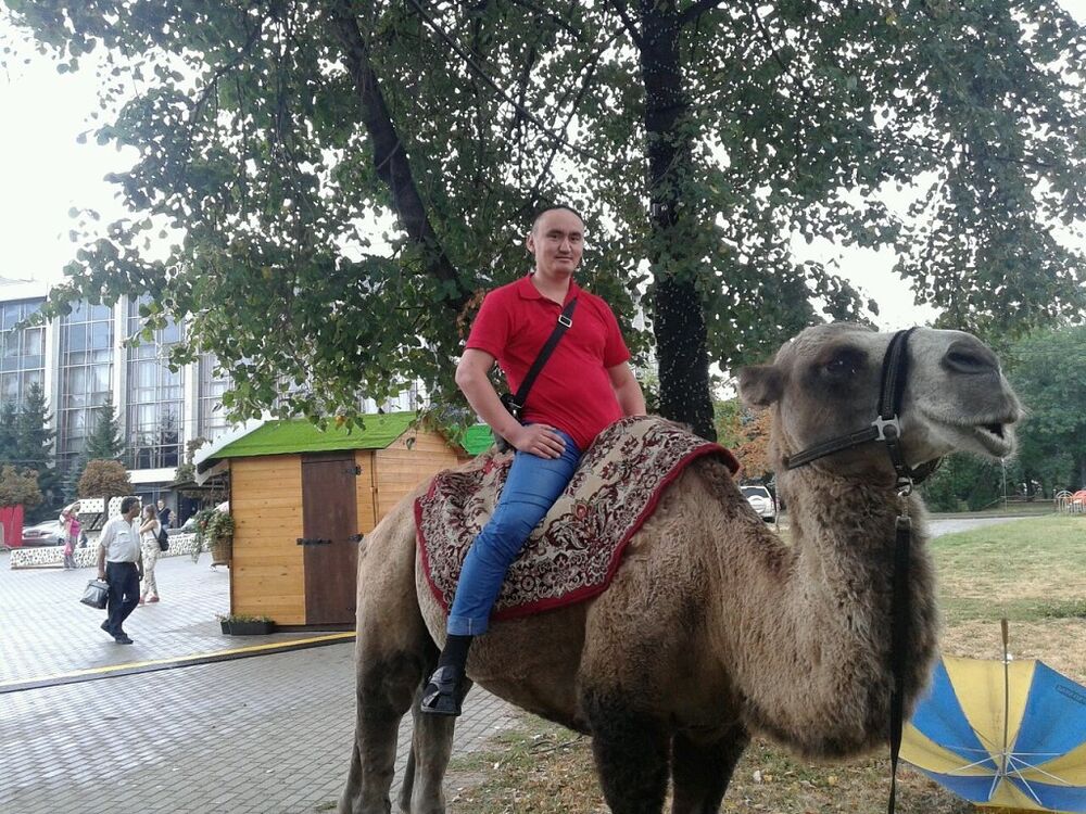 ���� 7872278 ������� ������, 42 ����, ���� ���������� � ������