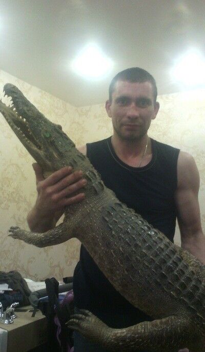 ���� 14857998 ������� �������, 38 ���, ���� ���������� � ���������