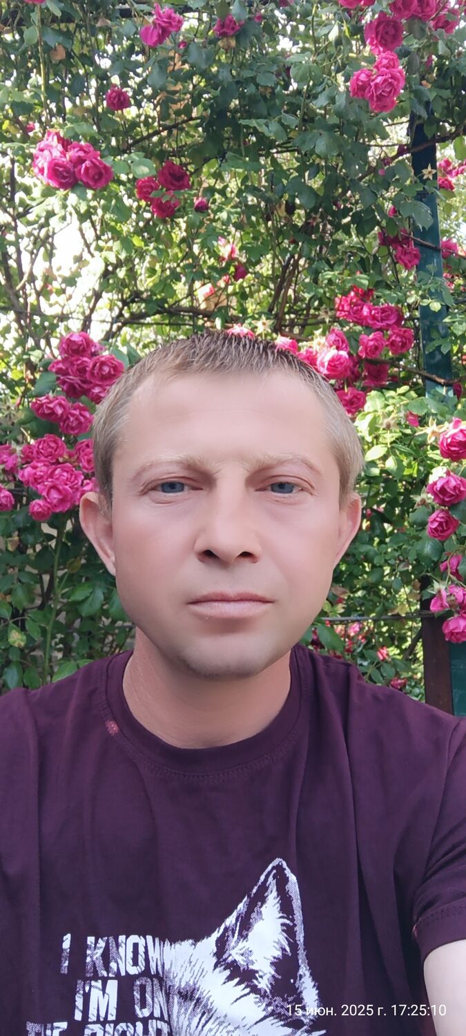  52102538  , 41 ,    