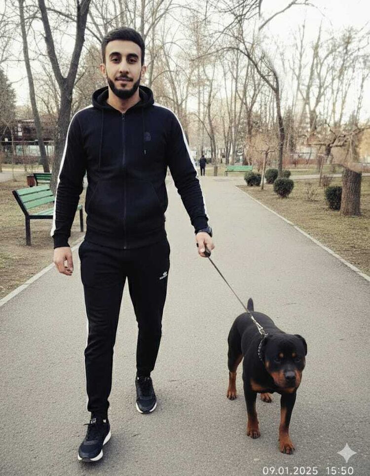 ���������� �������, ���� ������� Elsever, 30 ���, ������������ ��� ������, ����� � ���������