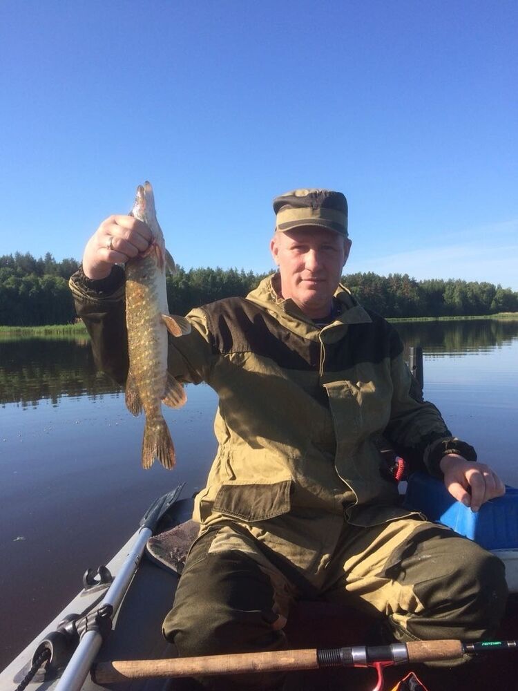  ,   , 51 ,   