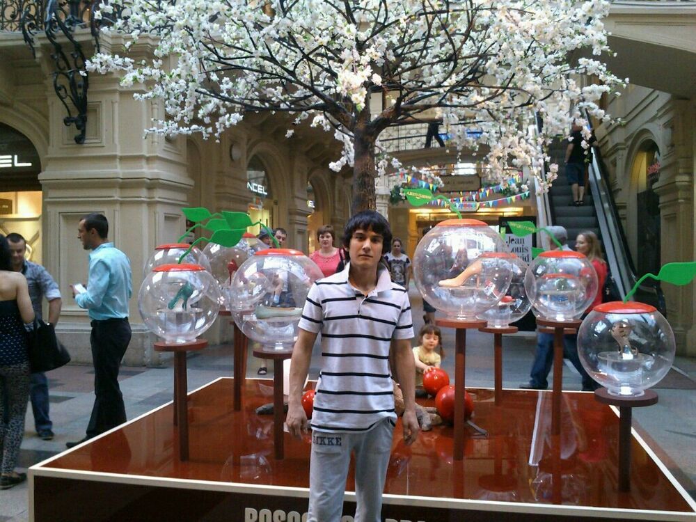 ���� 40551918 ������� ������, 33 ����, ���� ���������� � ������