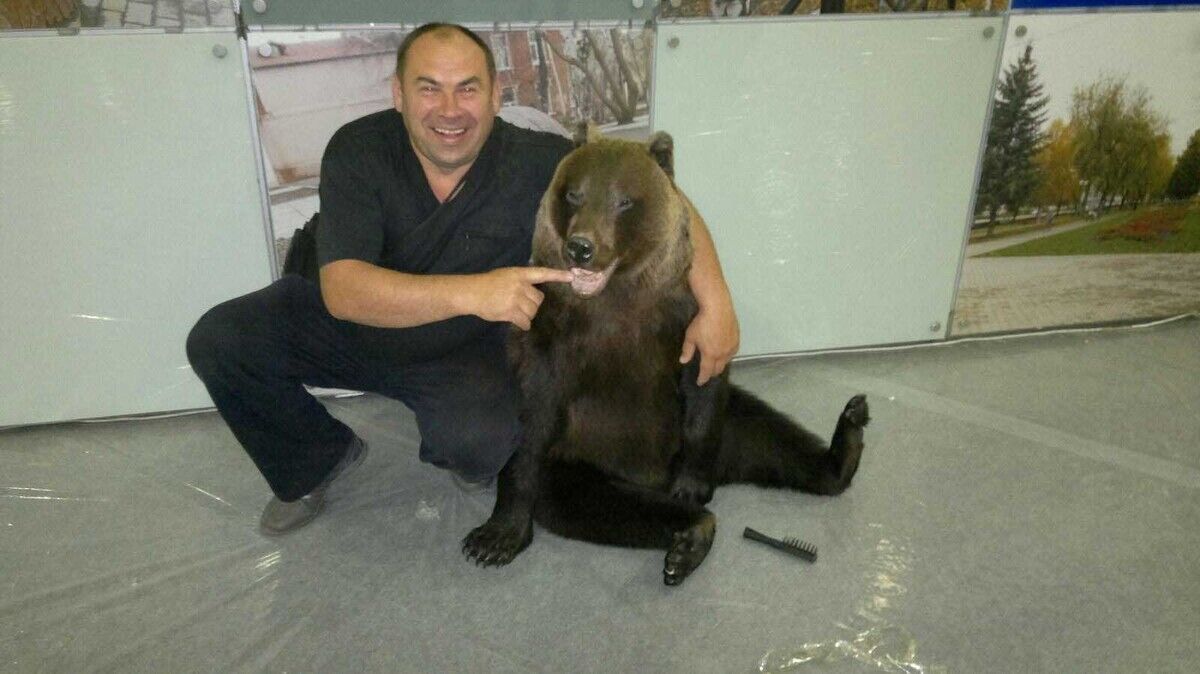 ���������� ����, ���� ������� �������, 57 ���, ������������ ��� ������, ���������