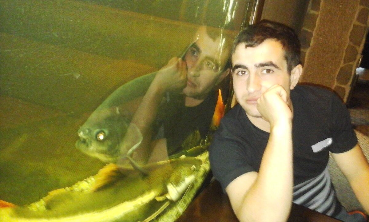  5036138  Fevzi, 31 ,    