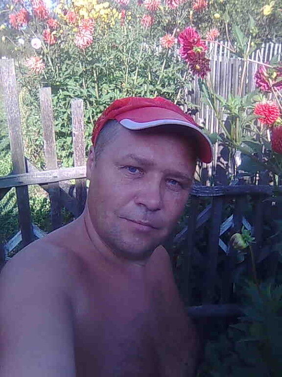 ���� 6856858 ������� ������, 50 ���, ���� ���������� � �����������