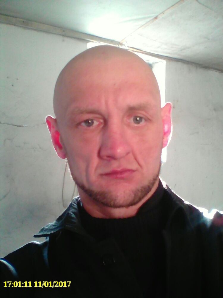 ���� 8764528 ������� �������, 50 ���, ���� ���������� � ������������