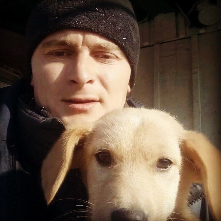   ,   , 35 ,  