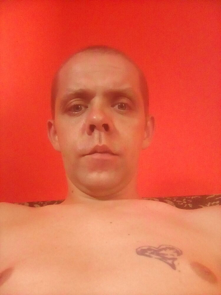  13137508  , 36 ,    