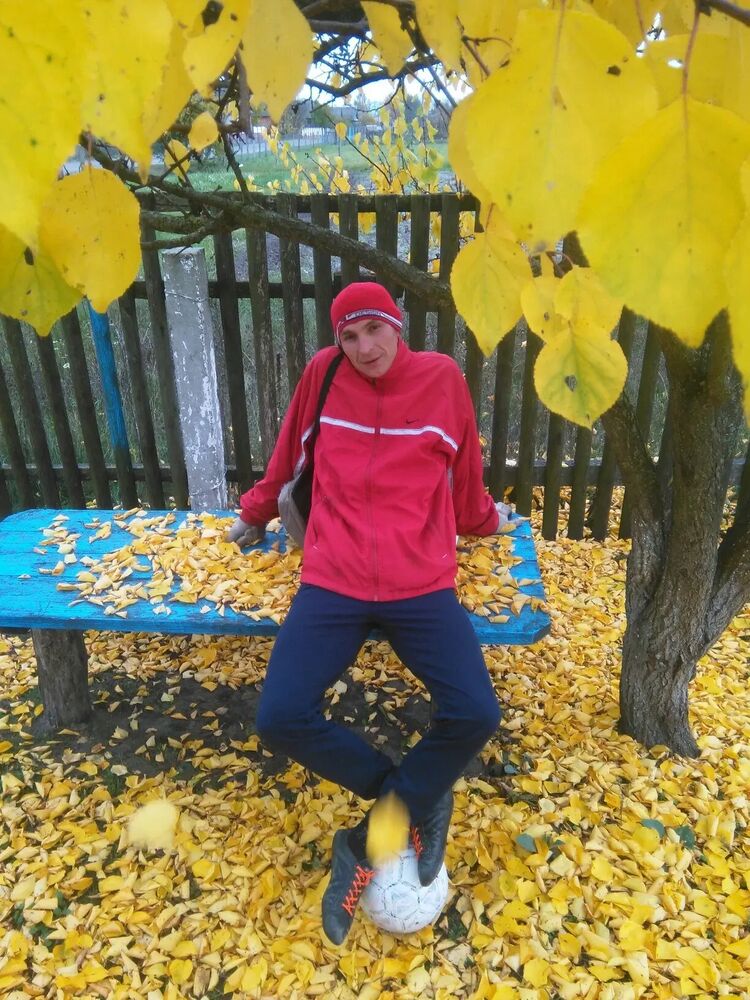  47261958  , 43 ,    