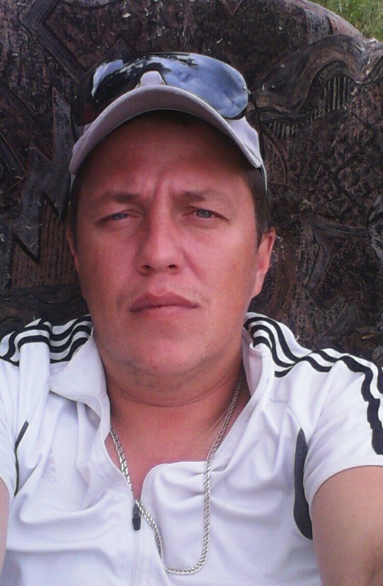  48334168  , 44 ,    