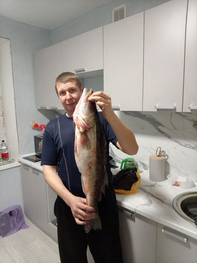 ���� 55925198 ������� �������, 44 ����, ���� ���������� � ������ ���������