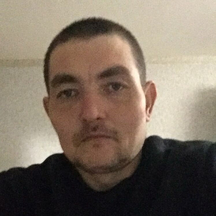  44118568  ˸, 33 ,    