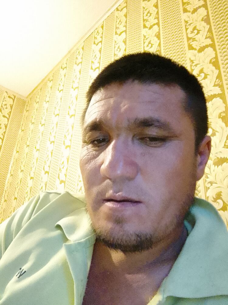  36683548  Abitov, 42 ,    -
